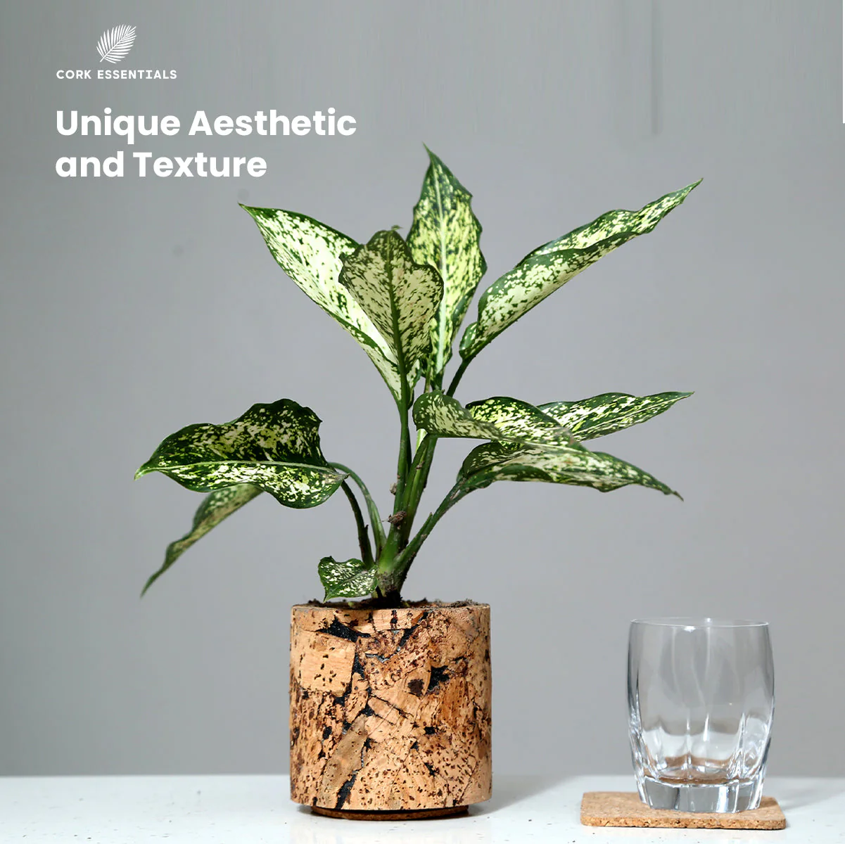 Aqua Planter Round - Image 4