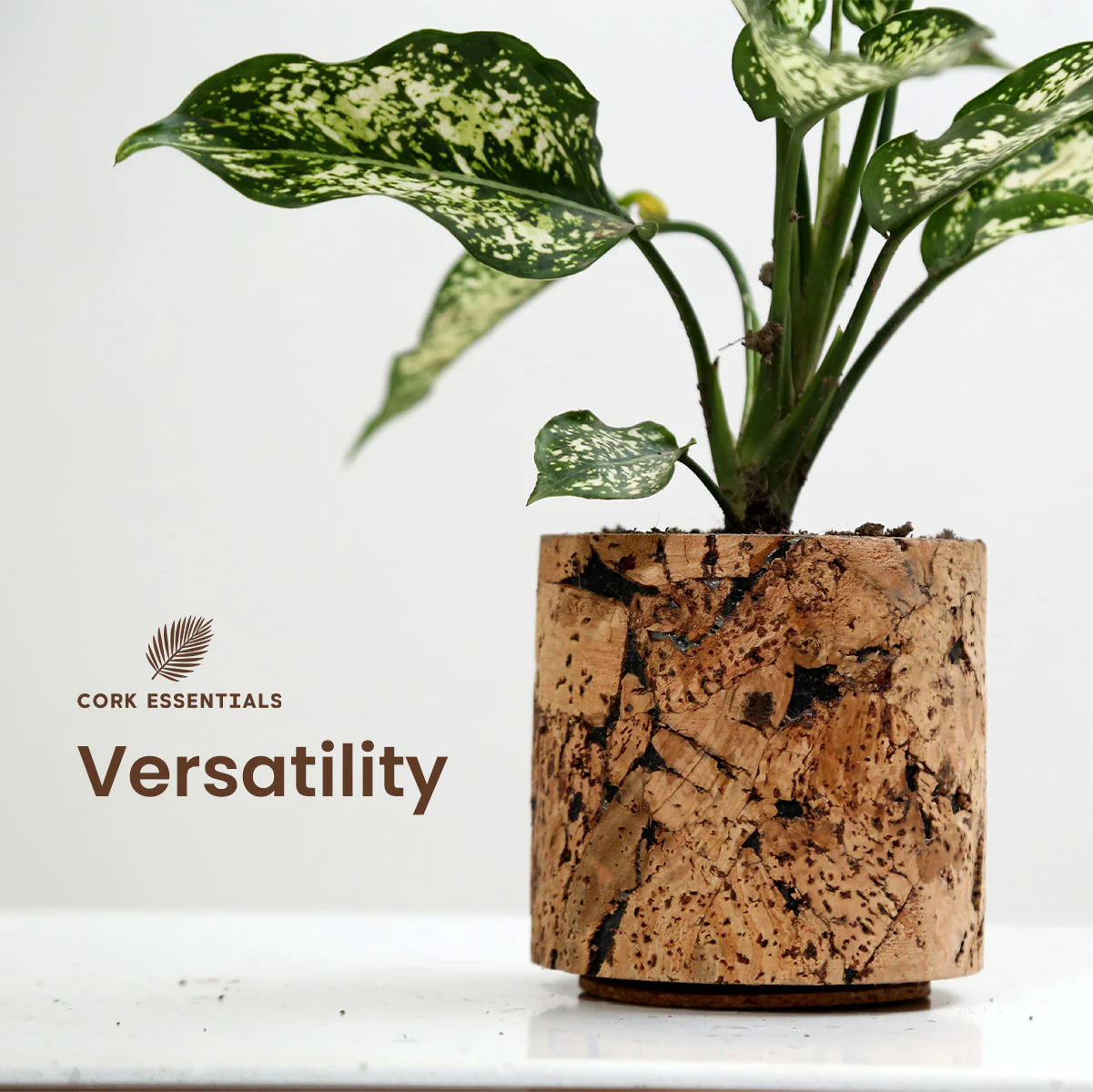 Aqua Planter Round - Image 5