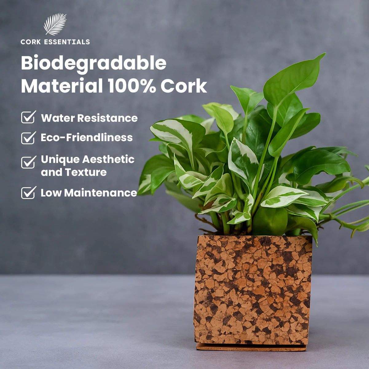 Chocochip Textured Planter - Image 5