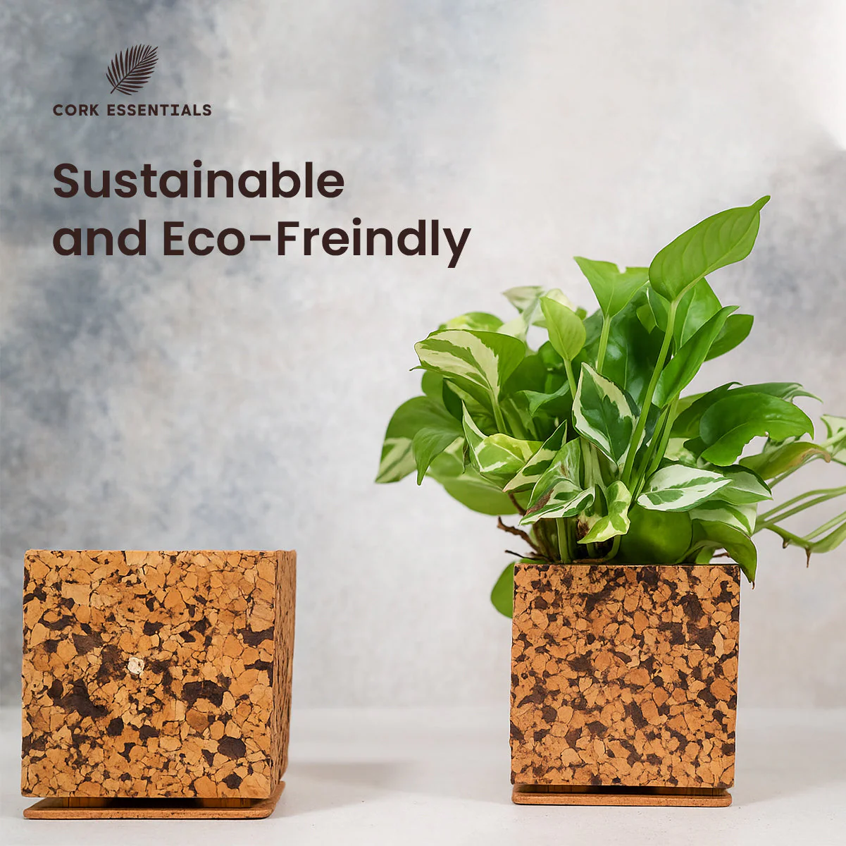 Chocochip Textured Planter - Image 6
