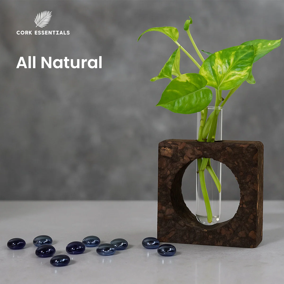Cork Bark Planter With Test Tube - Image 2