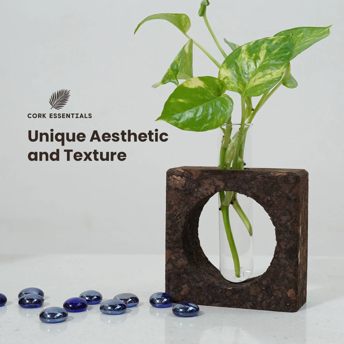 Cork Bark Planter With Test Tube - Image 6