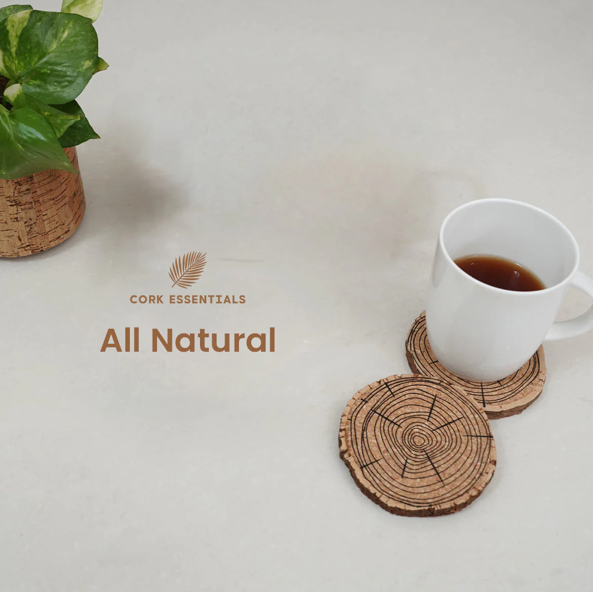 Cork Belly Coaster Set of 4 - Image 2