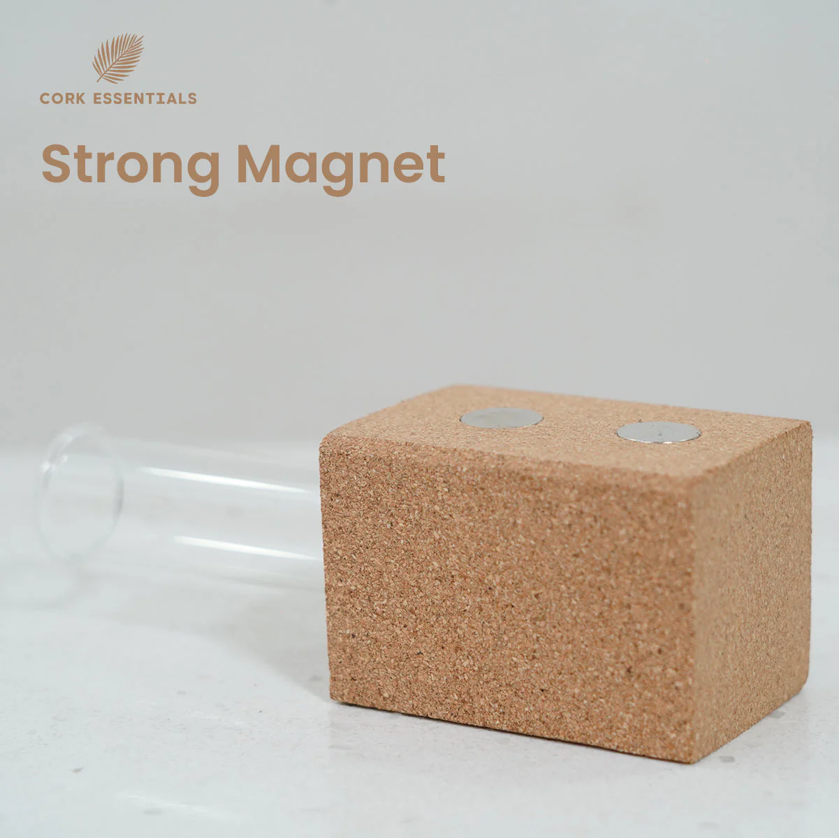 Fridge Magnet Planter Sprout New Ideas With Test Tube - Image 3
