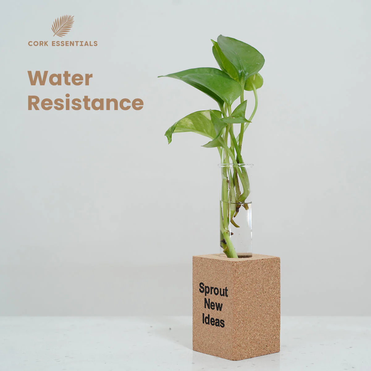 Fridge Magnet Planter Sprout New Ideas With Test Tube - Image 5