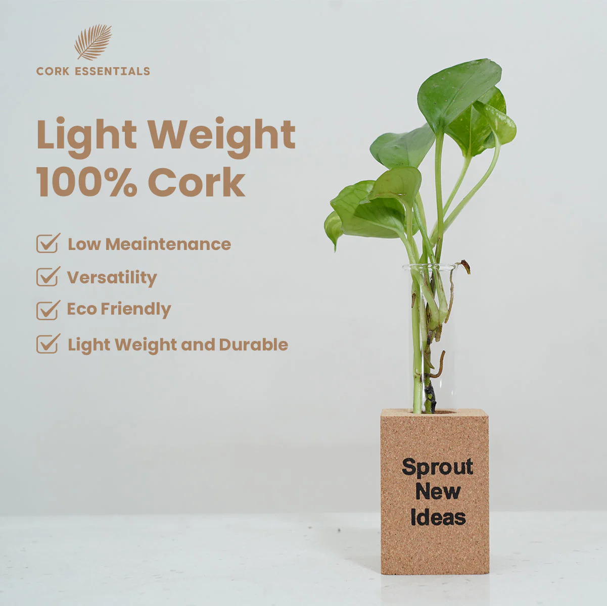 Fridge Magnet Planter Sprout New Ideas With Test Tube - Image 6