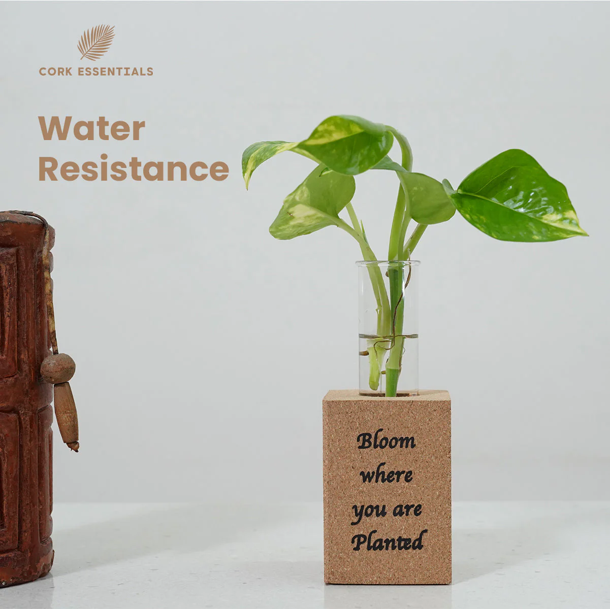 Fridge Magnet Planter Bloom Where Planted With Test Tube - Image 3