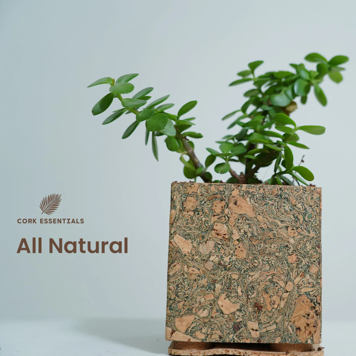 Olive Textured Planter - Image 2