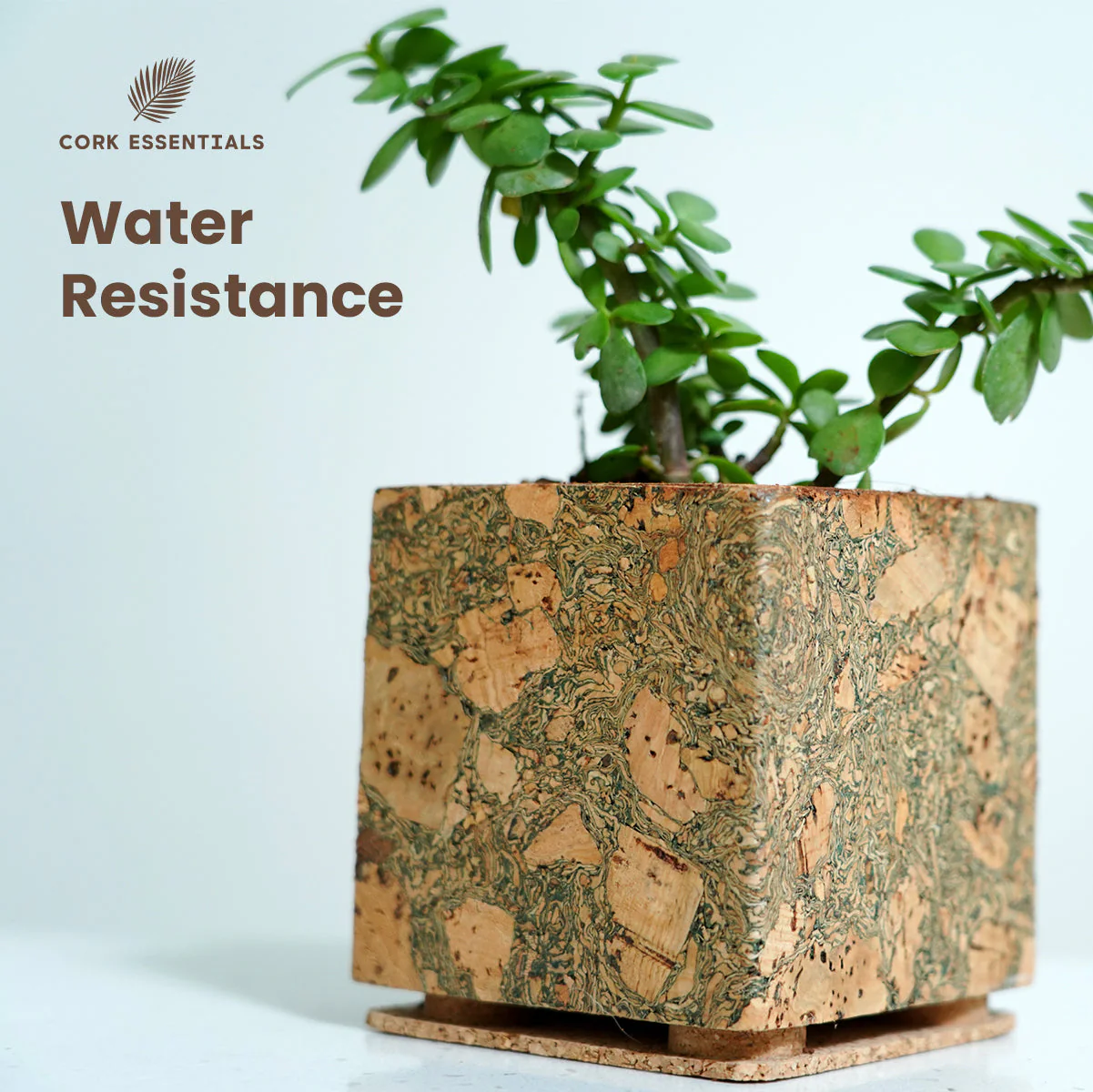 Olive Textured Planter - Image 5